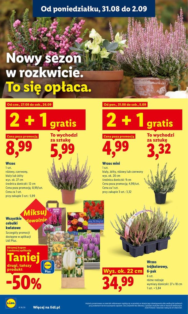 Lidl gazetka promocyjna 31.08-02.09.2026 — strona 86 z 88