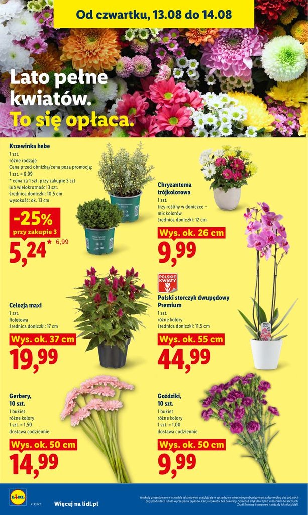 Lidl gazetka promocyjna 12.08-14.08.2026 — strona 86 z 95
