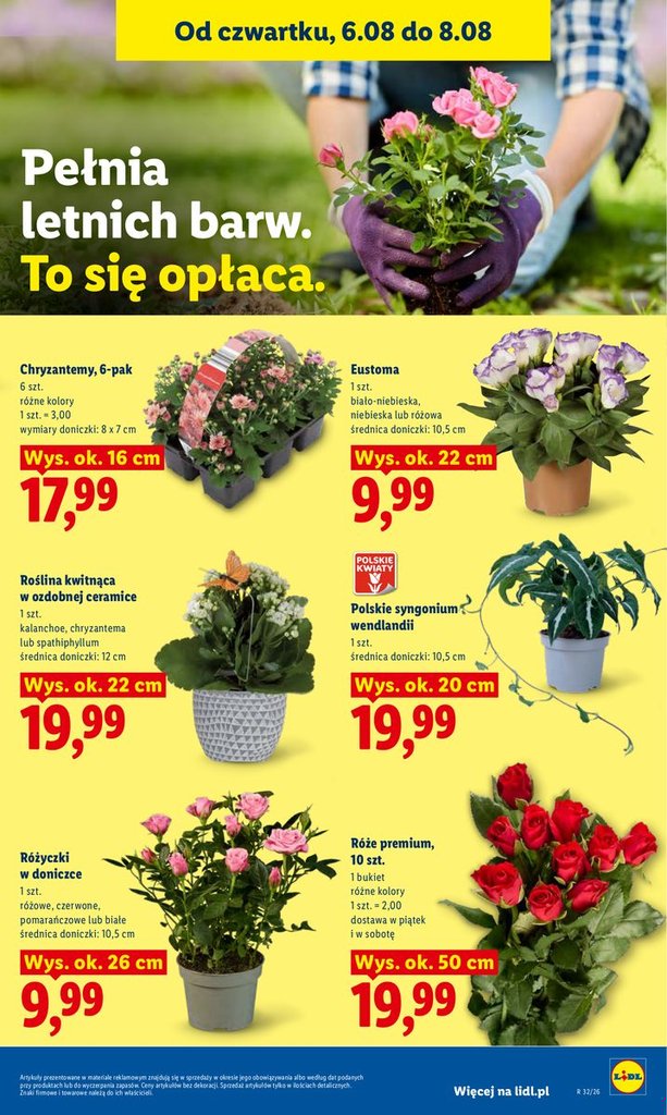Lidl gazetka promocyjna 06.08-08.08.2026 — strona 87 z 89