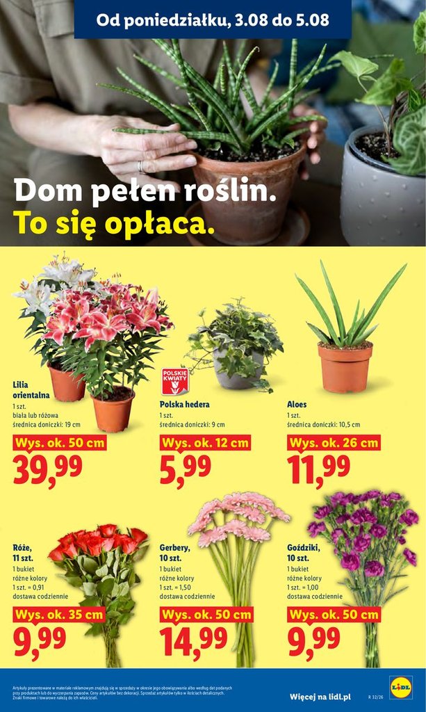 Lidl gazetka promocyjna 03.08-05.08.2026 — strona 91 z 93