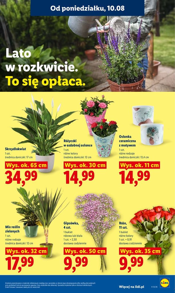Lidl gazetka promocyjna 10.08-11.08.2026 — strona 93 z 93