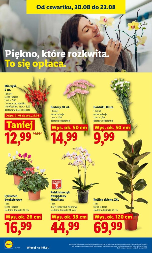 Lidl gazetka promocyjna 20.08-22.08.2026 — strona 96 z 101