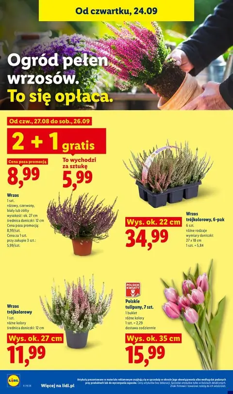 Lidl gazetka promocyjna 24.09-26.09.2026 — strona 100 z 105