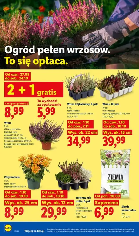 Lidl gazetka promocyjna 01.10-03.10.2026 — strona 102 z 109