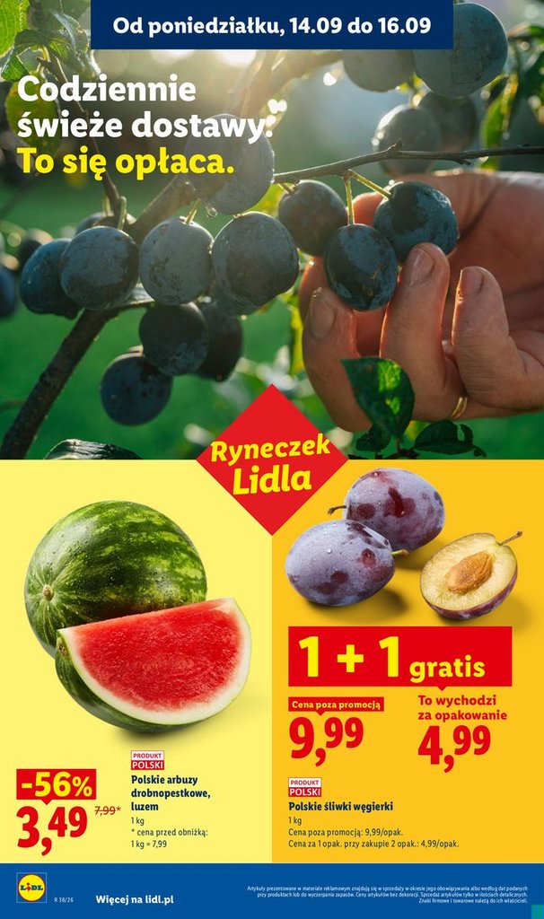 Lidl gazetka promocyjna 14.09-16.09.2026 — strona 28 z 81