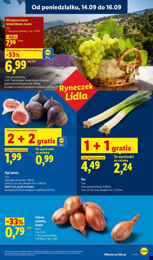 Lidl gazetka promocyjna 14.09-16.09.2026 — strona 31 z 81