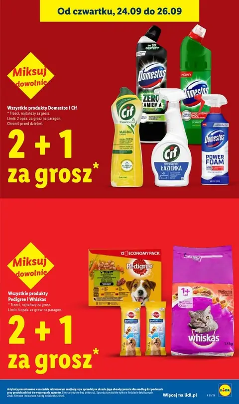 Lidl gazetka promocyjna 24.09-26.09.2026 — strona 41 z 105
