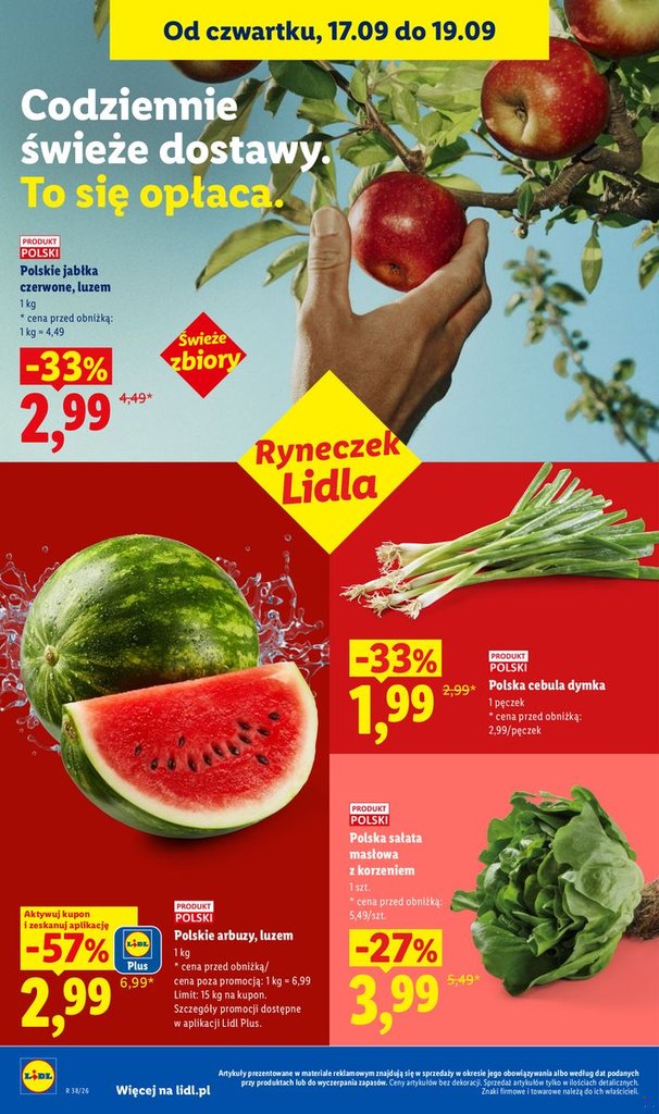 Lidl gazetka promocyjna 17.09-19.09.2026 — strona 42 z 95