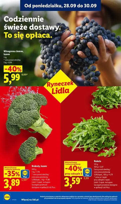 Lidl gazetka promocyjna 28.09-07.10.2026 — strona 46 z 101