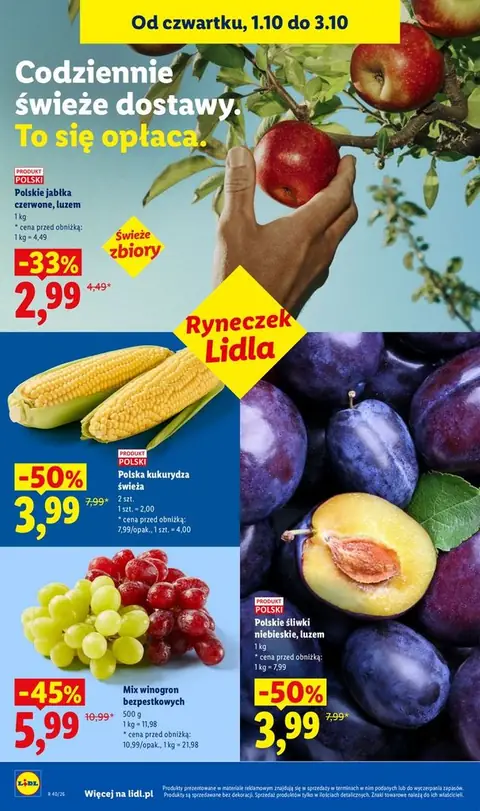 Lidl gazetka promocyjna 01.10-03.10.2026 — strona 48 z 109