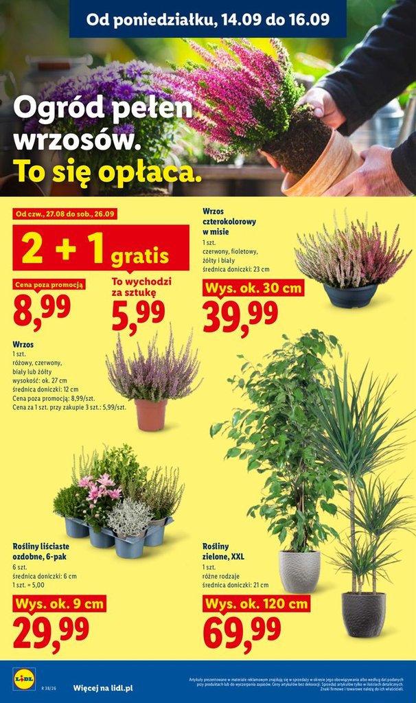 Lidl gazetka promocyjna 14.09-16.09.2026 — strona 78 z 81