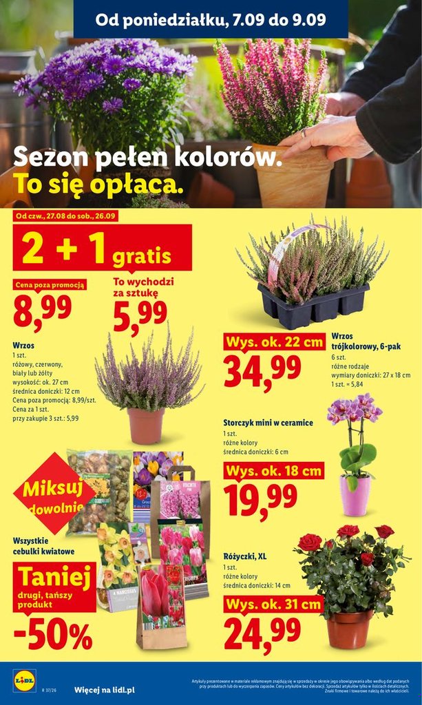 Lidl gazetka promocyjna 07.09-09.09.2026 — strona 82 z 84