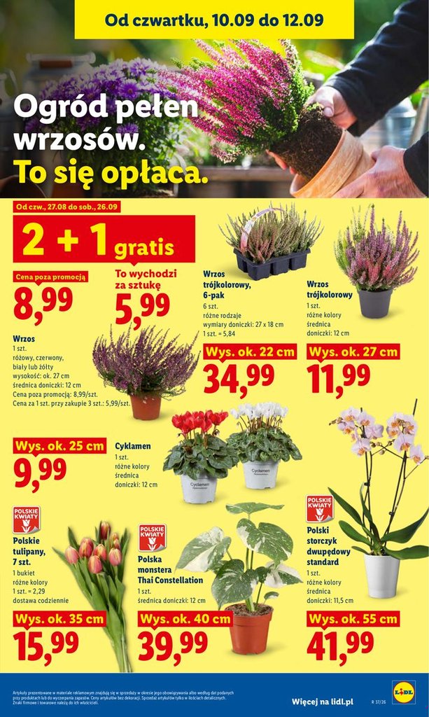 Lidl gazetka promocyjna 10.09-12.09.2026 — strona 83 z 87