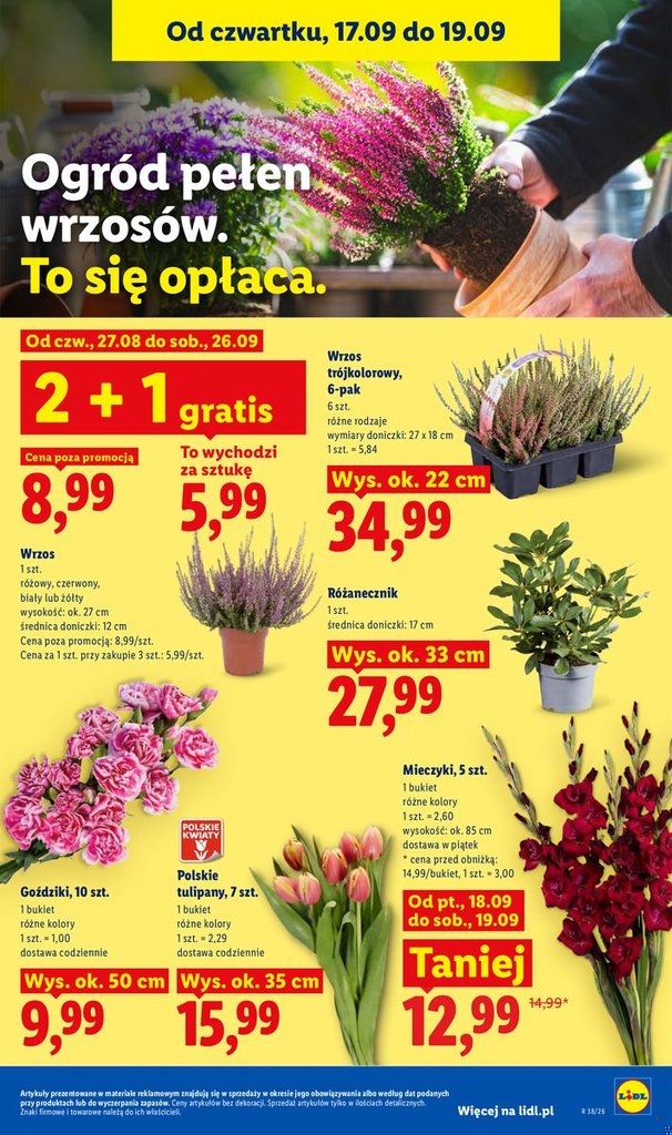 Lidl gazetka promocyjna 17.09-19.09.2026 — strona 85 z 95