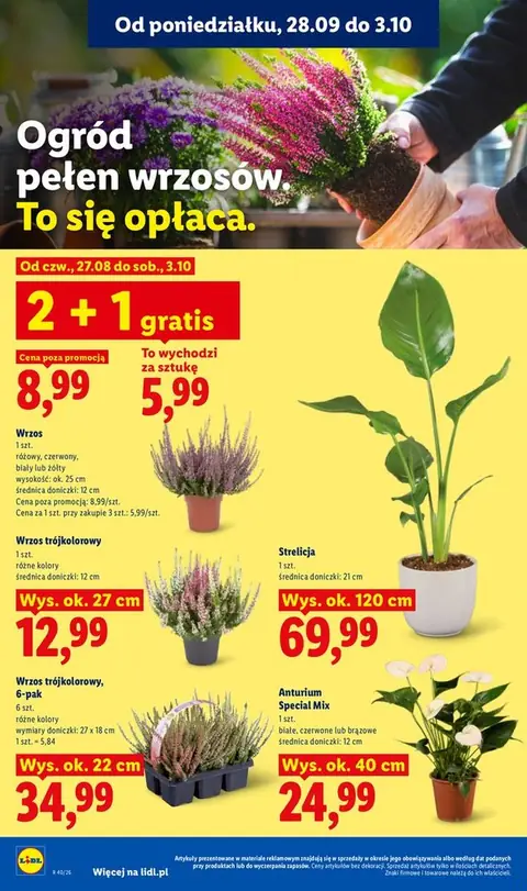 Lidl gazetka promocyjna 28.09-07.10.2026 — strona 88 z 101