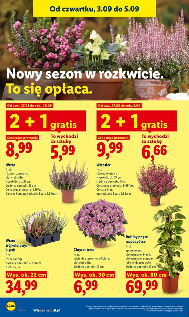 Lidl gazetka promocyjna 03.09-05.09.2026 — strona 90 z 93