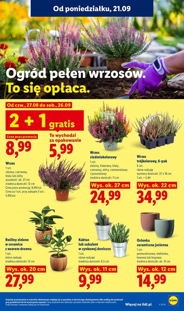 Lidl gazetka promocyjna 21.09-23.09.2026 — strona 91 z 99