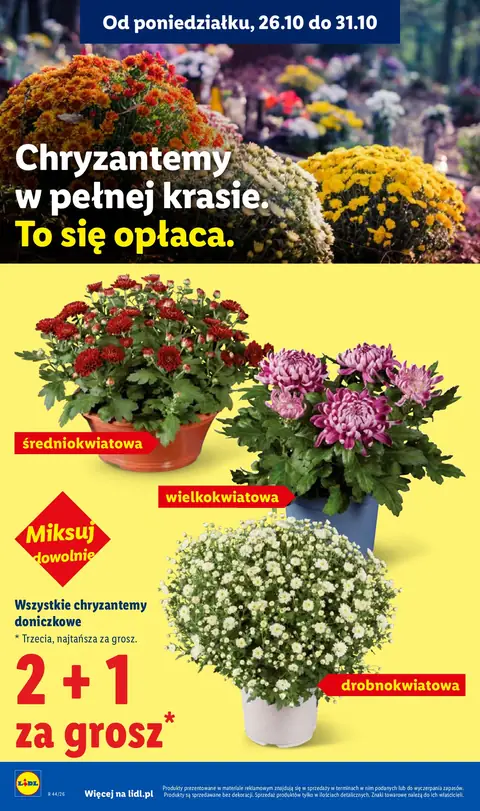 Lidl gazetka promocyjna 29.10-31.10.2026 — strona 4 z 114