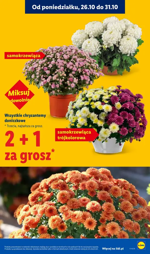 Lidl gazetka promocyjna 29.10-31.10.2026 — strona 5 z 114