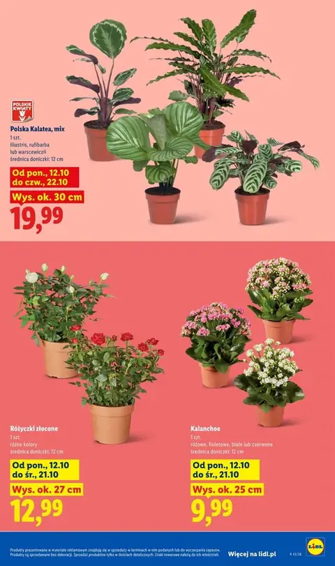 Lidl gazetka promocyjna 12.10-14.10.2026 — strona 9 z 114