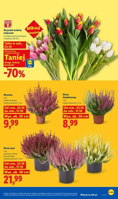 Lidl gazetka promocyjna 22.10-24.10.2026 — strona 103 z 99