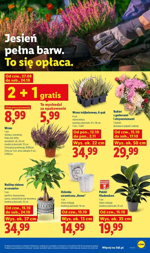 Lidl gazetka promocyjna 15.10-17.10.2026 — strona 107