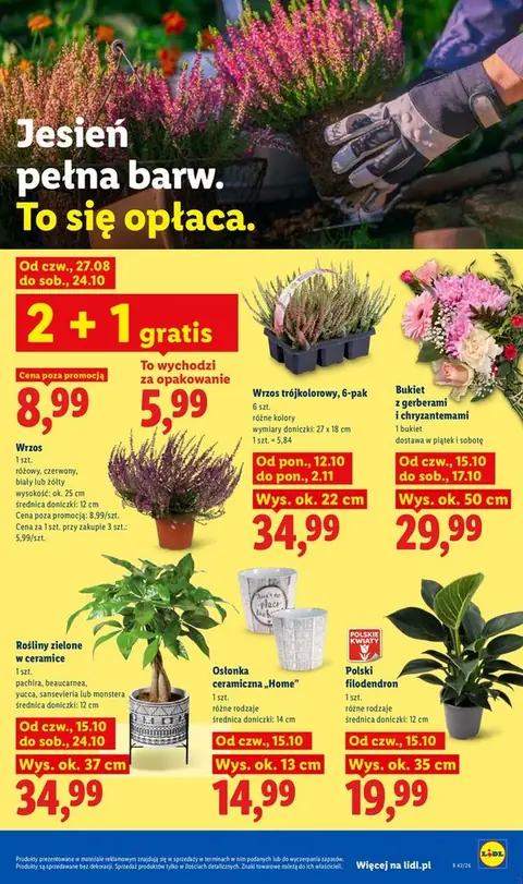 Lidl gazetka promocyjna 15.10-17.10.2026 — strona 107 z 115