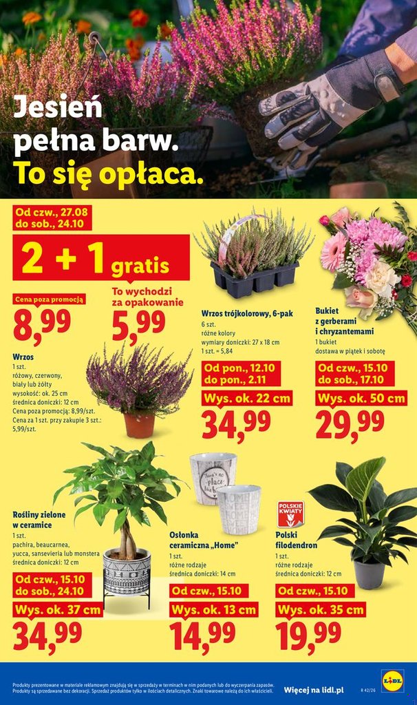Lidl gazetka promocyjna 15.10-17.10.2026 — strona 107 z 115