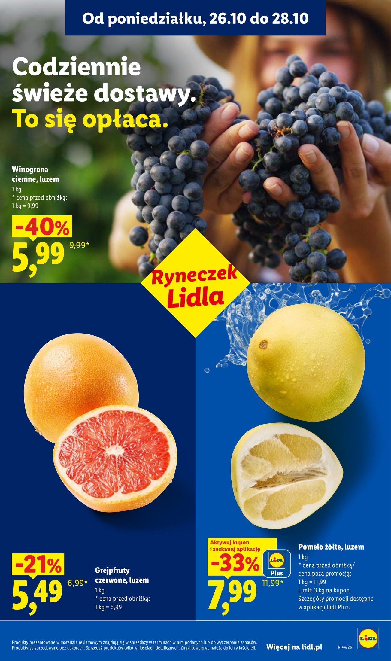 Lidl gazetka promocyjna 26.10-31.10.2026 — strona 41 z 105