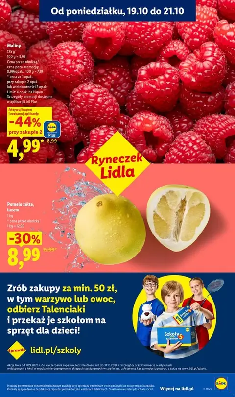 Lidl gazetka promocyjna 19.10-21.10.2026 — strona 41 z 96
