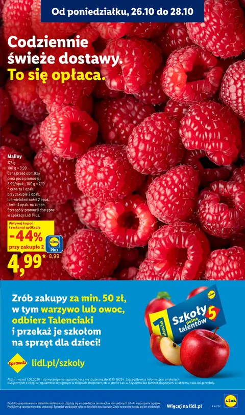 Lidl gazetka promocyjna 26.10-31.10.2026 — strona 43 z 101