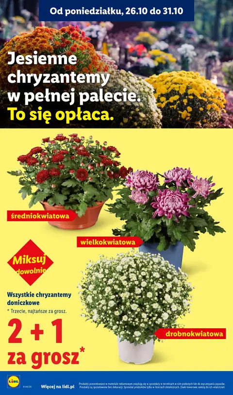 Lidl gazetka promocyjna 26.10-31.10.2026 — strona 44 z 101