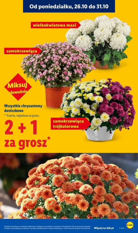Lidl gazetka promocyjna 26.10-31.10.2026 — strona 45 z 101