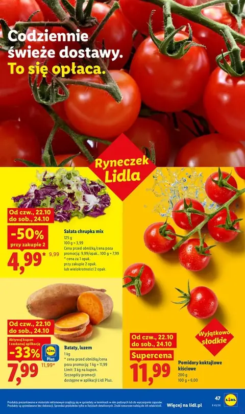 Lidl gazetka promocyjna 22.10-24.10.2026 — strona 49 z 99