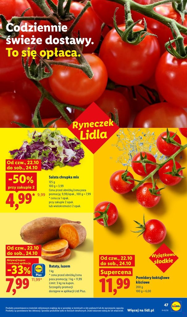 Lidl gazetka promocyjna 22.10-24.10.2026 — strona 49 z 105
