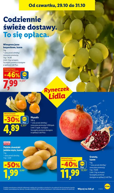 Lidl gazetka promocyjna 29.10-31.10.2026 — strona 49 z 114