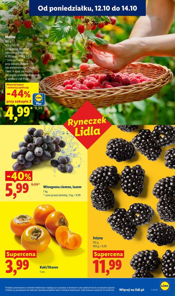 Lidl gazetka promocyjna 12.10-14.10.2026 — strona 51 z 114