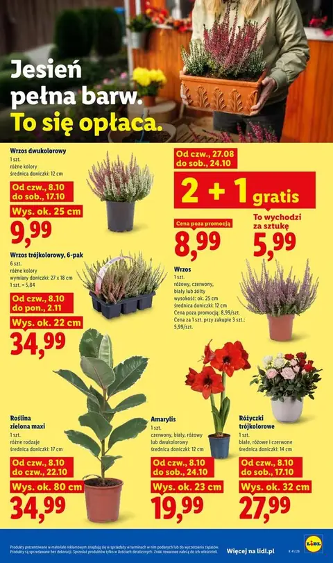 Lidl gazetka promocyjna 08.10-10.10.2026 — strona 85 z 98