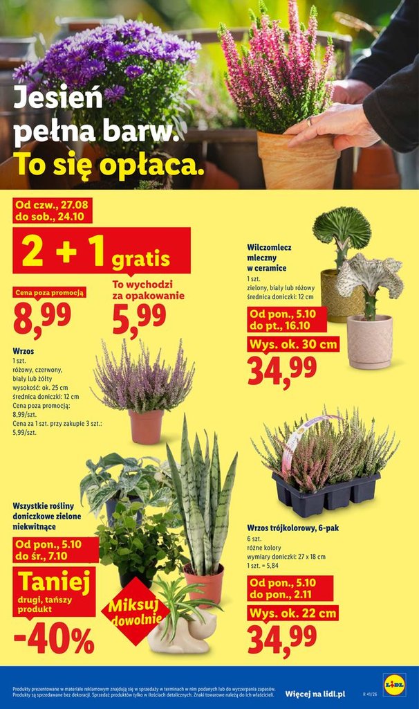 Lidl gazetka promocyjna 05.10-10.10.2026 — strona 89 z 101