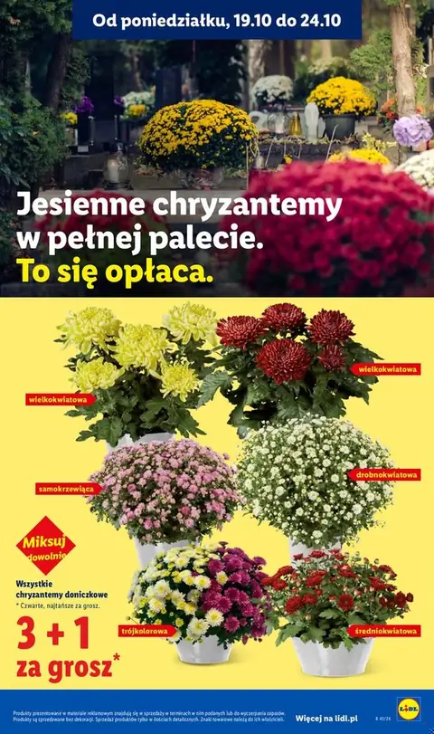 Lidl gazetka promocyjna 19.10-21.10.2026 — strona 97 z 96