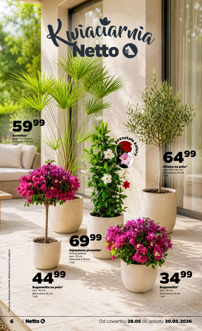 Netto gazetka promocyjna 28.05-30.05.2026 — strona 6 z 22