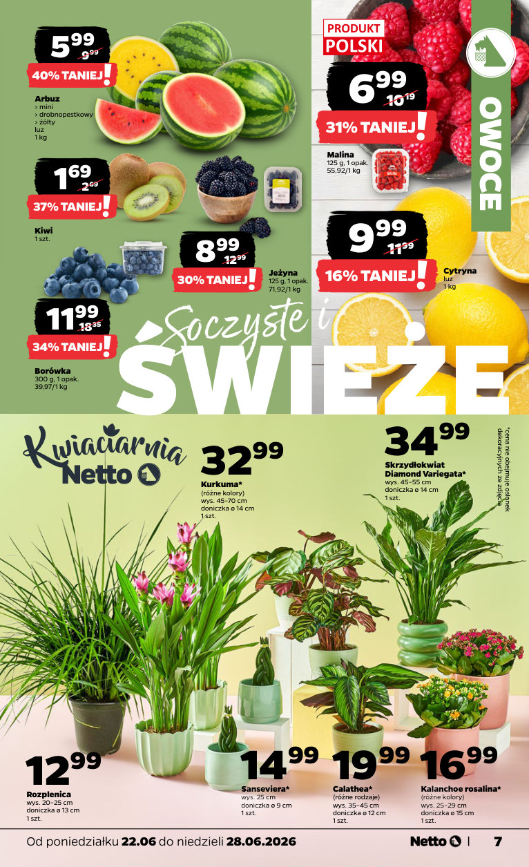 Netto gazetka promocyjna 22.06-28.06.2026 — strona 7 z 35
