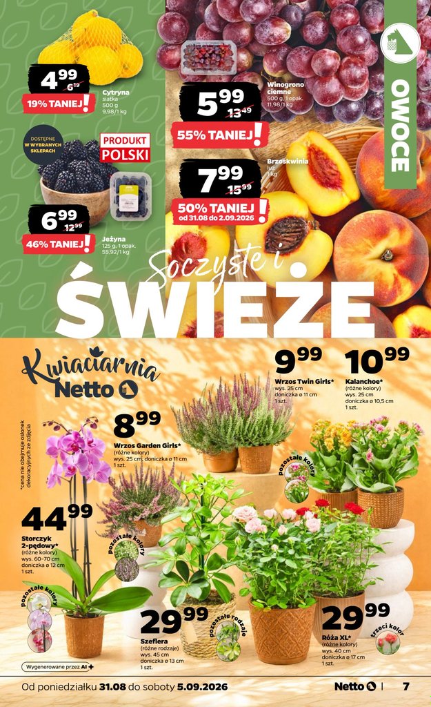 Netto gazetka promocyjna 31.08-05.09.2026 — strona 7 z 36