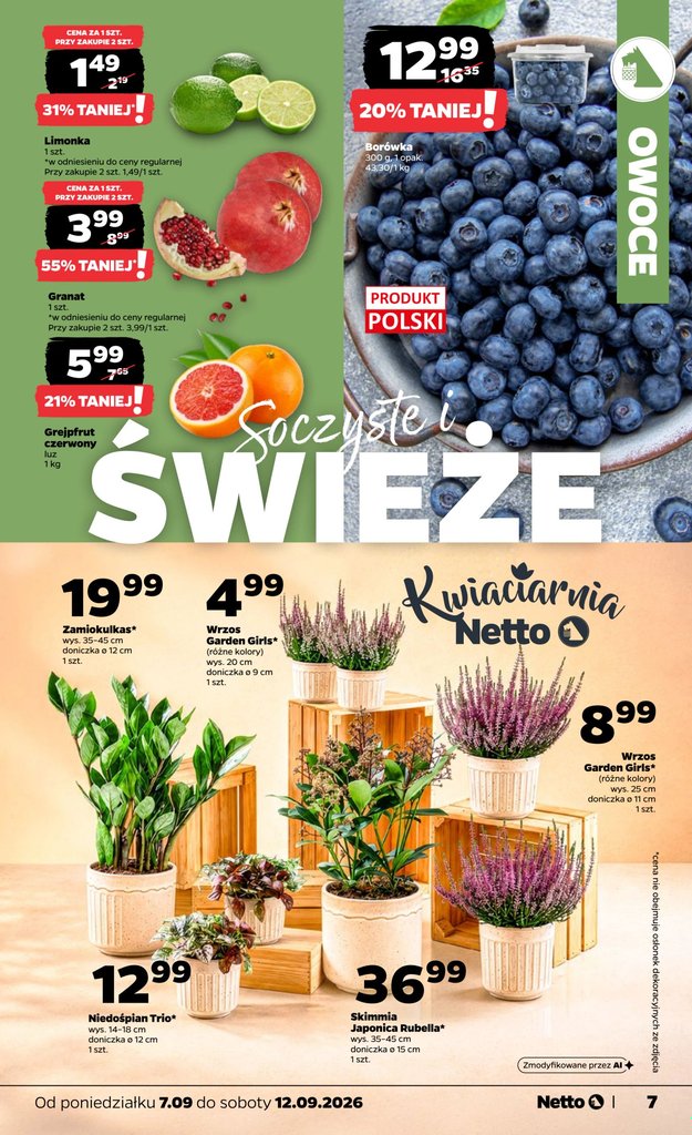 Netto gazetka promocyjna 07.09-12.09.2026 — strona 7 z 37