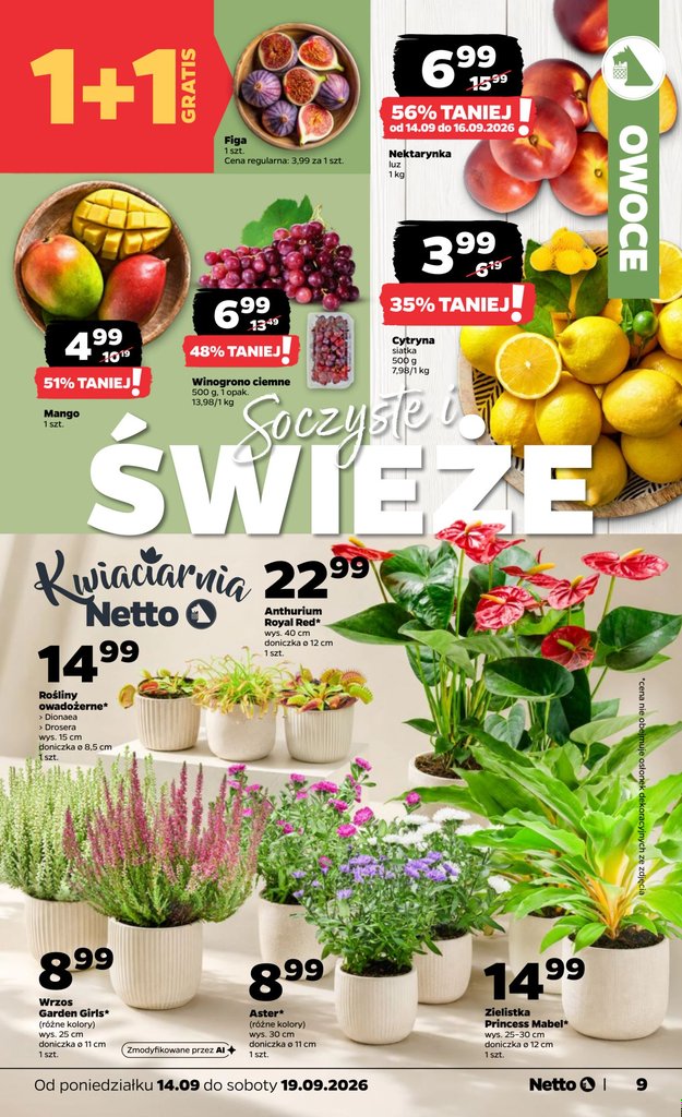 Netto gazetka promocyjna 14.09-19.09.2026 — strona 9 z 39