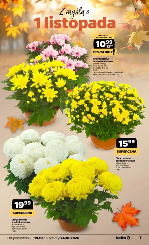 Netto gazetka promocyjna 19.10-24.10.2026 — strona 7 z 39
