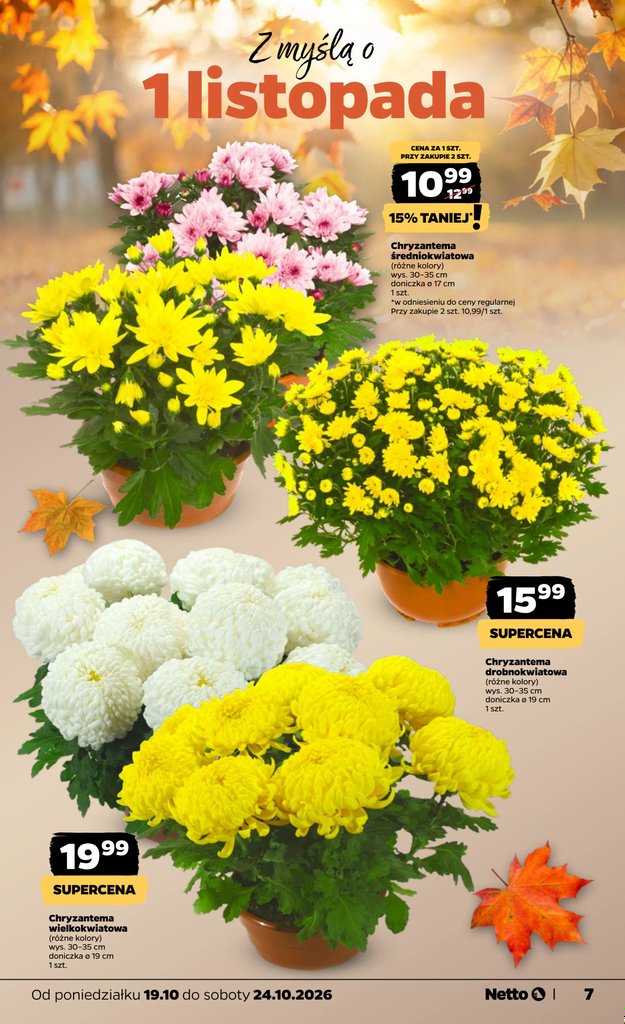 Netto gazetka promocyjna 19.10-24.10.2026 — strona 7 z 43