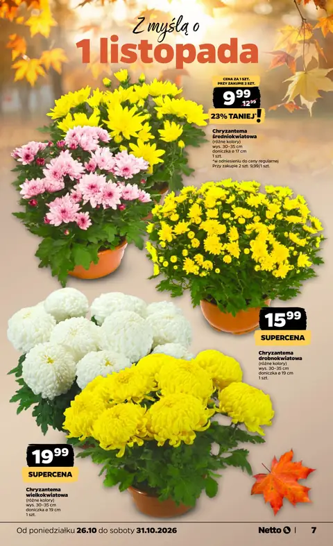 Netto gazetka promocyjna 26.10-31.10.2026 — strona 7 z 40