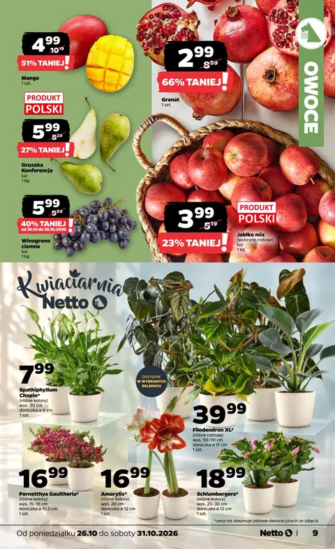 Netto gazetka promocyjna 26.10-31.10.2026 — strona 9 z 40