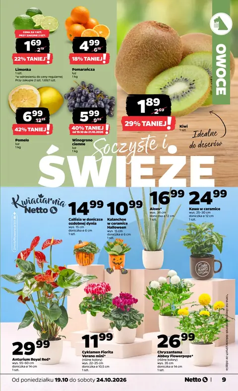 Netto gazetka promocyjna 19.10-24.10.2026 — strona 9